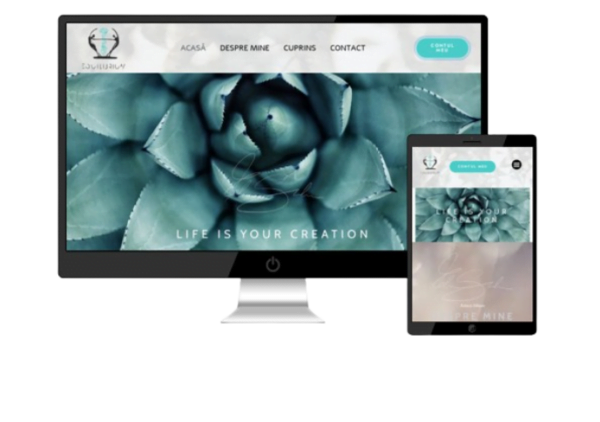 equilibrium programme